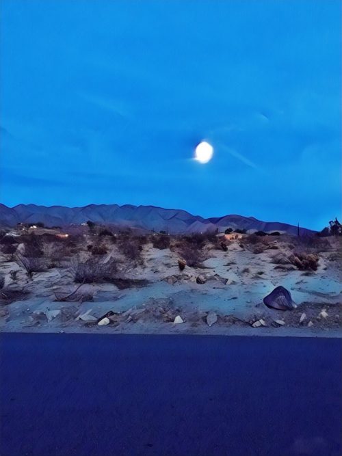Blue Desert Moon