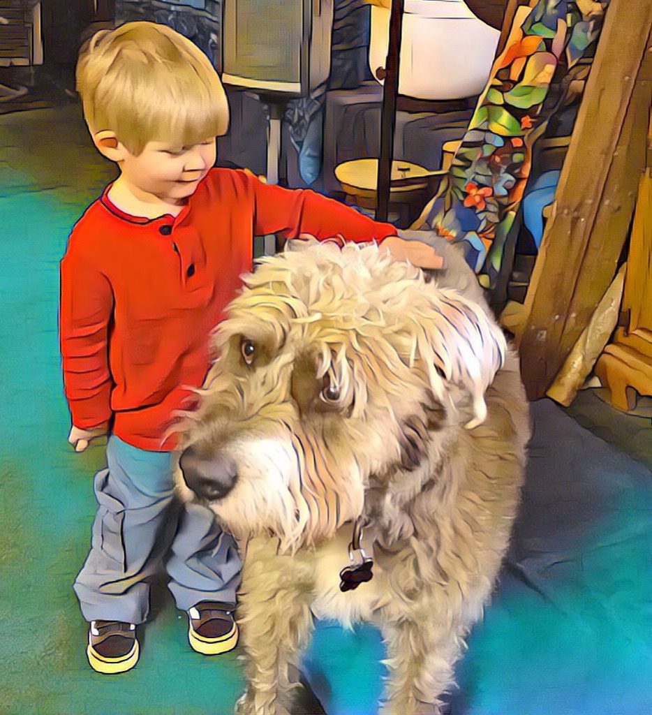 stryder the dog with a small child