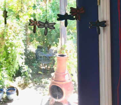 my dragonflies in the window