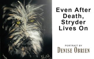 Even-After Death Stryder Lives On