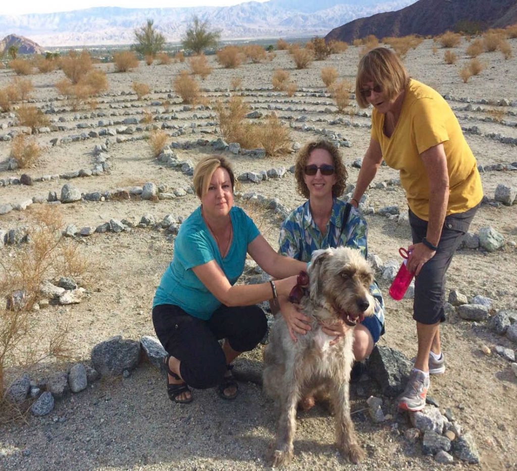 Stryder at the La Quinta Cove labyrinth with friends