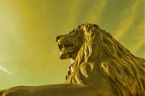 lion statue shows ageless strength